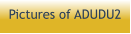 Pictures of ADUDU2
