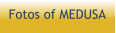 Fotos of MEDUSA